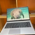 HP EliteBook 845 G7 touchscreen laptop with 16GB RAM and 256GB NVMe SSD