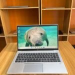 HP EliteBook 845 G7 touchscreen laptop with 16GB RAM and 256GB NVMe SSD